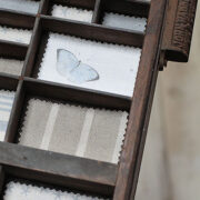 Starfish (Mini) ~ Blue Gray or Dove on Ivory Linen - Image 2