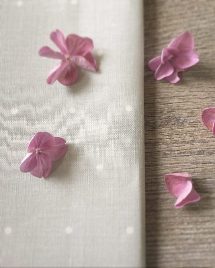 Gone Dotty ~ Seamist Background on Ivory Linen