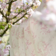 Birdsong (Large) ~ Old Silk on Stone Linen - Image 2