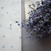Rabbit All Star ~ Strong Blue Stars on White Linen Union - Image 2