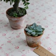 Giardino ~ Rose & Thyme on Cream Linen * - Image 3
