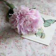 Xanthe ~ Peony & Sage colourway on Cream Linen * - Image 5