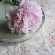 Xanthe ~ Peony & Sage colourway on Cream Linen * - Image 7