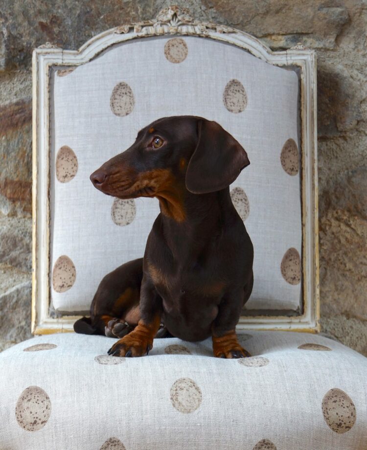 Speckled Egg Linen