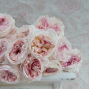 Grande Xanthe ~ Soft Pinks on Cream Linen* - Image 4