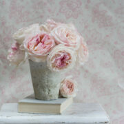 Grande Xanthe ~ Soft Pinks on Cream Linen* - Image 2