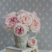 Hops (Mini) ~ Faded Duck Egg Background on Cream Linen * - Image 4