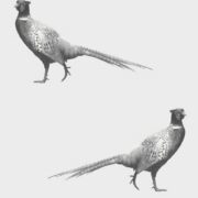 Country Pheasant Wallpaper Classic Grey - Image 2