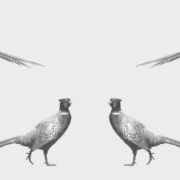 Country Pheasant Wallpaper Classic Grey - Image 3
