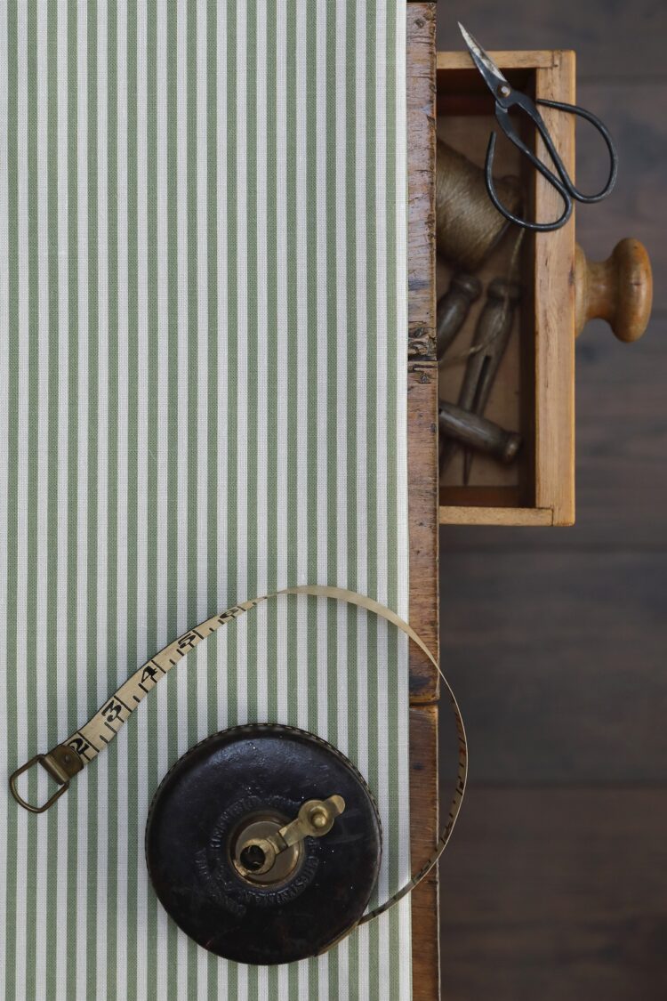 Eva Stripe ~ Pomme on Cream Linen