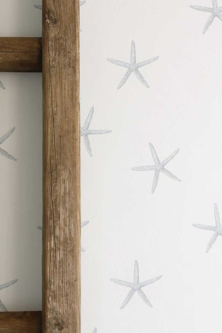 Starfish Wallpaper