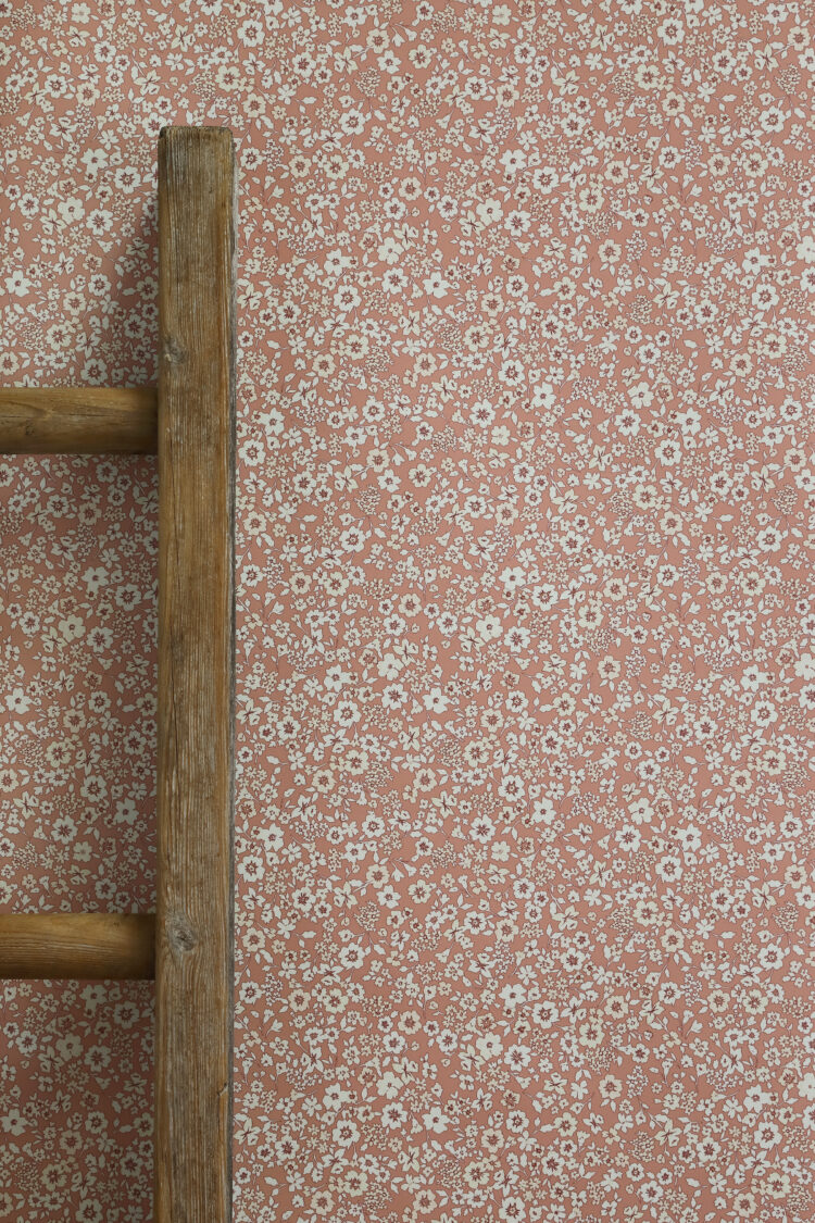 Sugarplum Daisy in Apricot + Fig