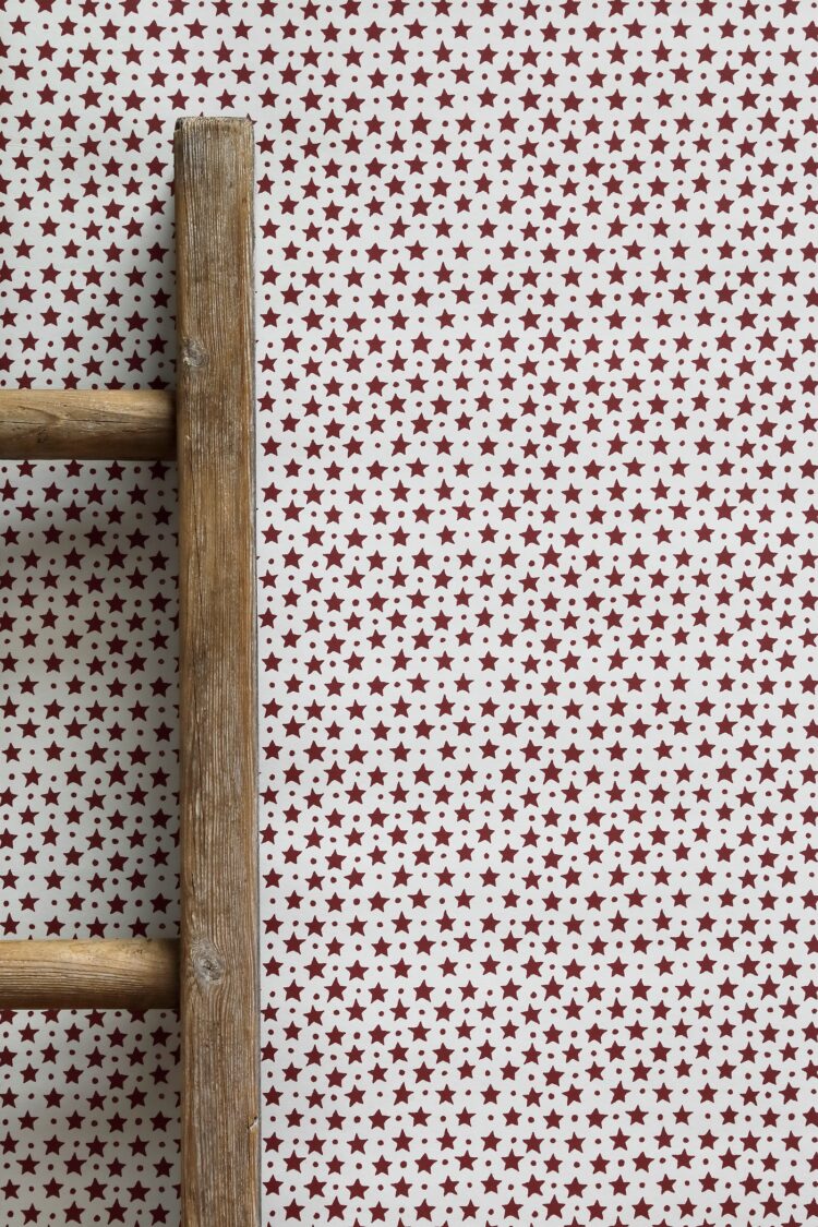 Star and Dot Chalet Red on Dark Chalk Wallpaper