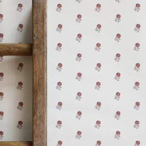 Little Anni II Earth Wallpaper