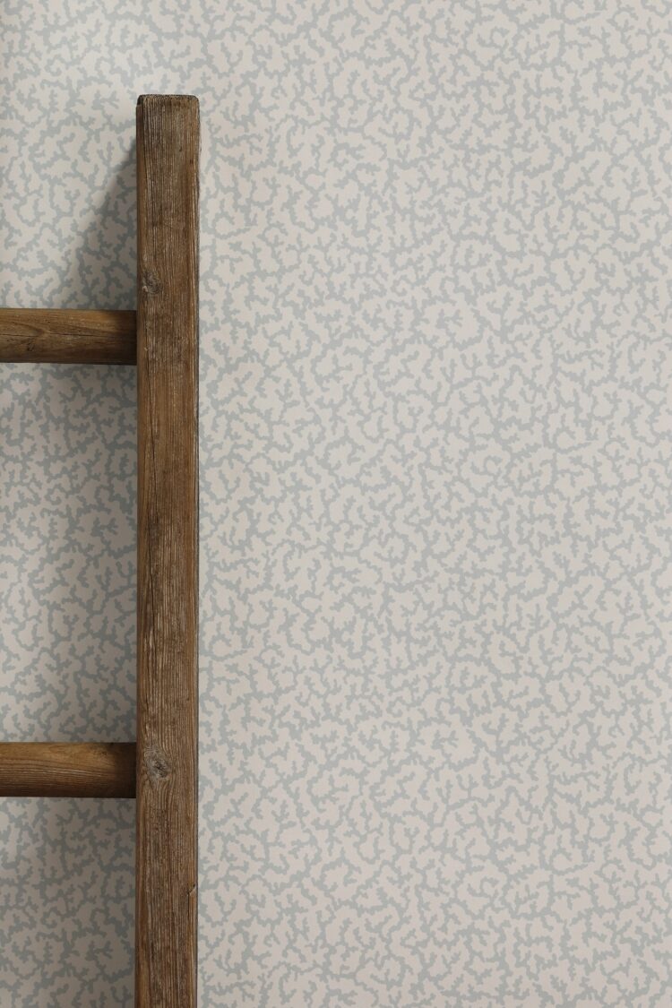 Coral Light Blue Wallpaper