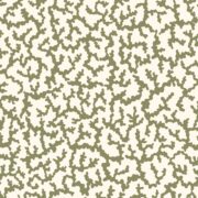 Coral Olive Green on Cream Wallpaper - Image 5
