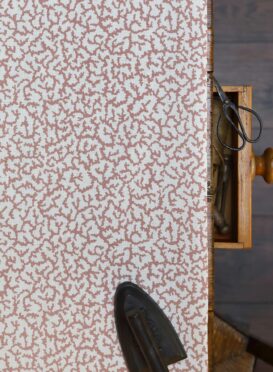Coral Chalk Pink on Double Cream Linen