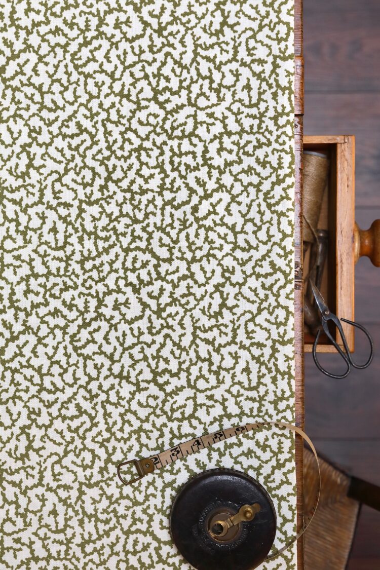 Coral Olive on Double Cream Linen