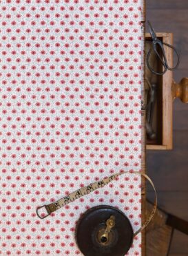 Petit Penny Washed Raspberry and Light Blue Grey on Ivory Linen