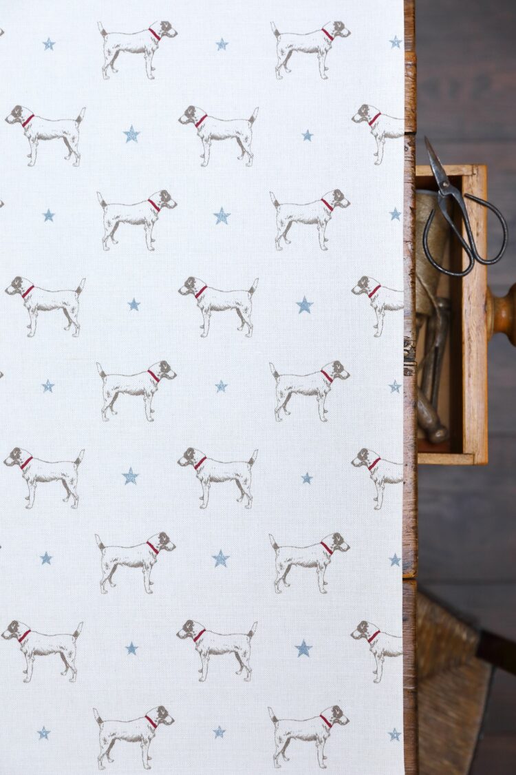 Jack All Star ~ Oxford Blue on White Linen Union