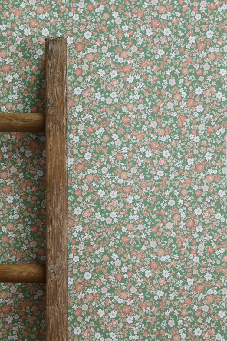 Sugarplum Daisy in Peapod, Apricot and Soft Red Clay Wallpaper