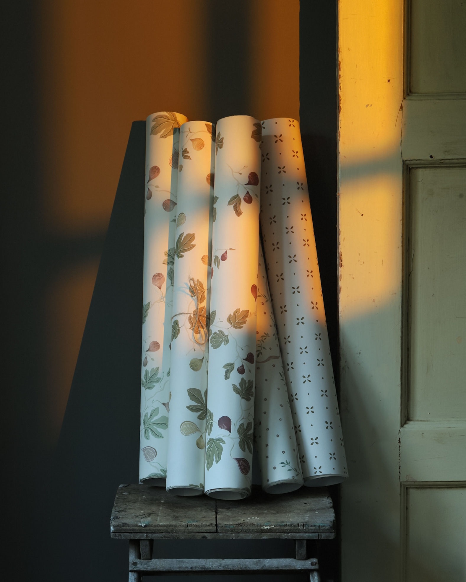 Fig Midi ALL COLOURWAYS - Image 2