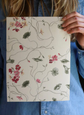 Geranium Vine Wallpaper Multi Pinks