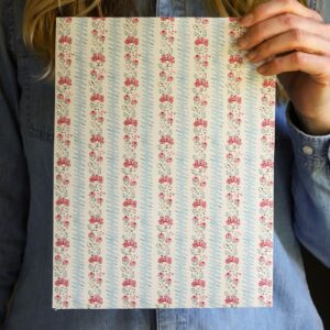 Montana Blue + Cerise Wallpaper