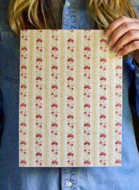 Montana Curd + Raspberry Wallpaper