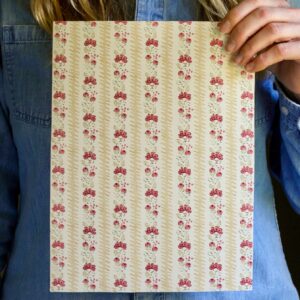 Montana Curd + Raspberry Wallpaper